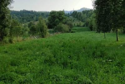 Casă cu 4 camere cu Teren 3000 Mp în Cotumba - 8