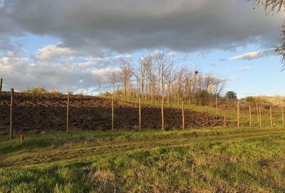 Spațiu comercial, în Valter Mărăcineanu - 1