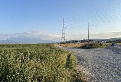 Teren extravilan de vanzare -5750 mp- deschidere la DJ 112B- Intrarea in Vulcan - 3