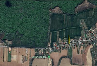 Teren Construcții intravilan de 1600 mp, în Ciolpani - 5