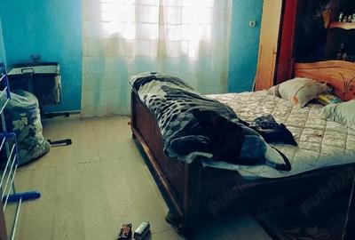 Casă cu 4 camere cu Teren 1959 Mp în Voivozi (Popești) - 3