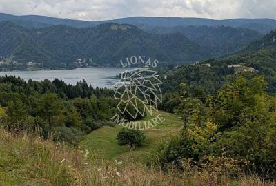 Teren Construcții intravilan de 550 mp, în Colibița - 1