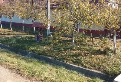 Casa de vanzare la 50km de Timisoara - 1