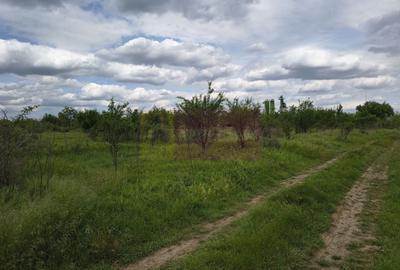 Teren Construcții intravilan de 3750 mp, în Giulești - 49