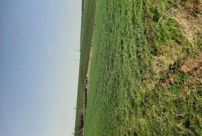 Casă cu 4 camere în Drăgănești-Vlașca - 8