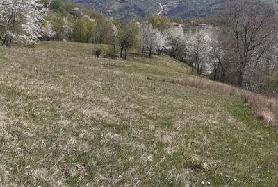 Teren în Cornereva - 2