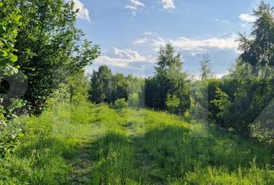 11,5 ha teren extravilan pe Trans Apuseana cu izvor ?i - 2