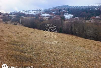 Teren de 8335 mp, în Săcuieu - 2