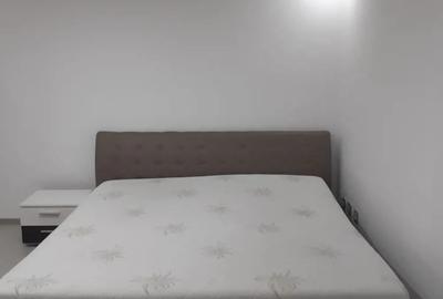 Inchiriez apartament cu doua camere, Zona Mehala - 9