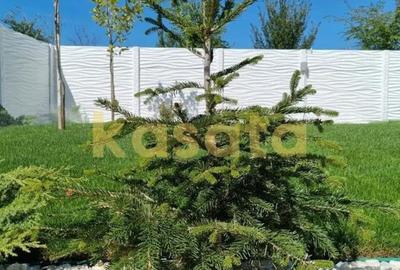 Casă cu 4 camere cu Teren 474 Mp în Crângași - 5