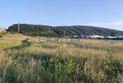 Comision 0%! Teren 15000 mp constructii industriale, cu PUZ, Gilau - 3