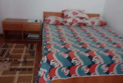 Apartament cu 2 camere semidecomandat în Craiovița Nouă - 5