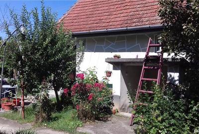 Casă cu 3 camere în Dobra - 3