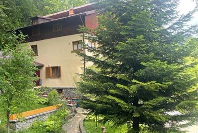 Casă cu 4 camere în Valea Doftanei - 8