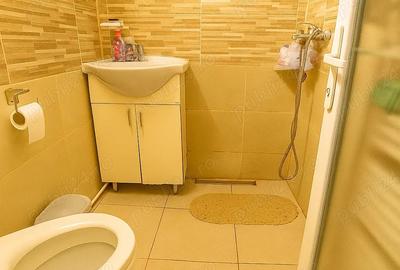 Apartament 2 camere de inchiriat Marasti - 6