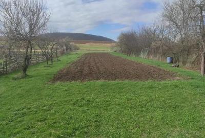 Casă cu 2 camere cu Teren 1542 Mp în Gilău - 2