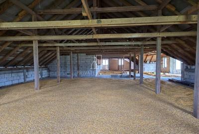 Spațiu comercial, de 470 mp, în Șaeș - 11