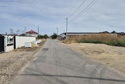 Teren intravilan 16.248 mp - Domnesti - 4