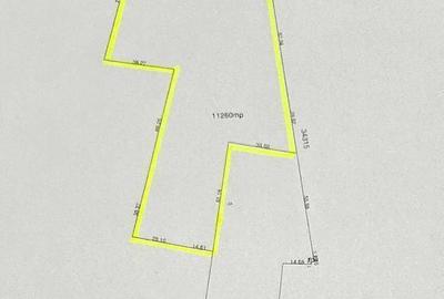 Teren de 11260 mp, în Horodnic - 1