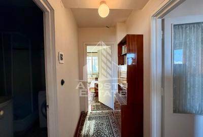 Apartament cu 3 camere semidecomandat, mobilat în Iosefin - 11