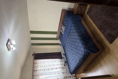 Proprietar!! Apartament(mansarda) 3 Cam. Bvd. Dambovita-Sagului Mobilat Utilat - 4