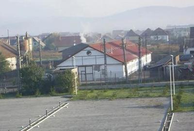 Spațiu comercial, de 1,800 mp, în Sângeorgiu de Mureș - 8