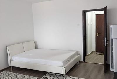 Garsonieră în Brazda lui Novac - 2