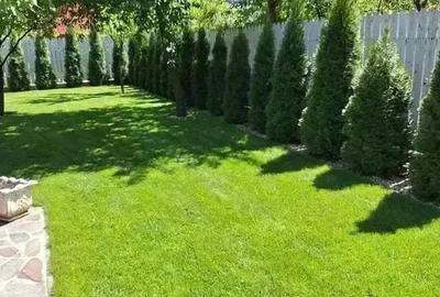 REZISTENT LA CUTREMUR / BLOC NOU CARAMIDA 30 CM /GRADINA 150 MP