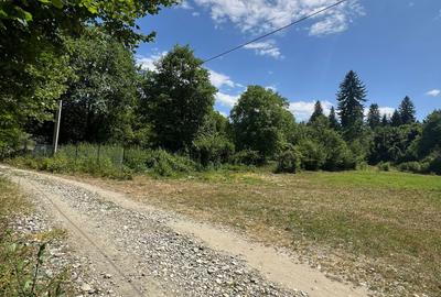 Teren intravilan 1200 mp – Valea Avrigului - 6