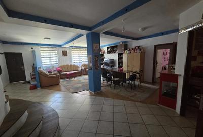 Duplex popesri leordeni - 8