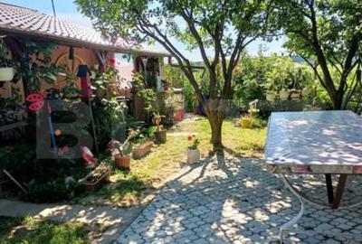 Teren de 1000 mp, în Careiului - 4