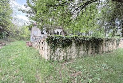 Casă individuală cu 6 camere cu Teren 10000 Mp în Caransebeș - 4