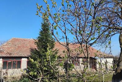 Casă cu 3 camere cu Teren 1052 Mp în Central - 4