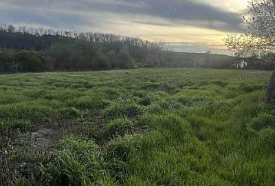 Casa tradi?ionala cu cerdac ,gradina mare 3217 si teren 4000 mp un total de 7217 mp.Curent trifazic - 4