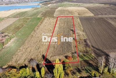 Oportunitate de investitie teren intravilan 7535 mp utilitati aproape, Cositeni - 4