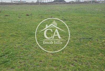 Spațiu comercial, în Paleu - 3