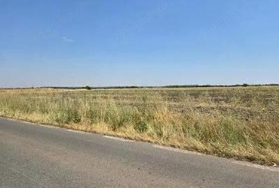 Teren de 4300 mp, în Smârdioasa - 8