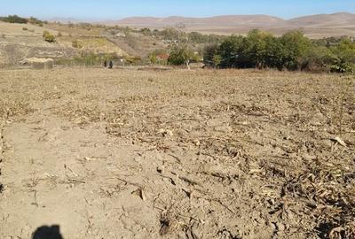 Teren de 7000 mp, în Dorobanțu - 4