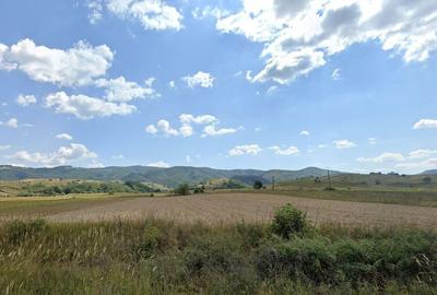 Cota 1/4 teren extravilan Dalboset, jud. Caras Severin - ... - 2