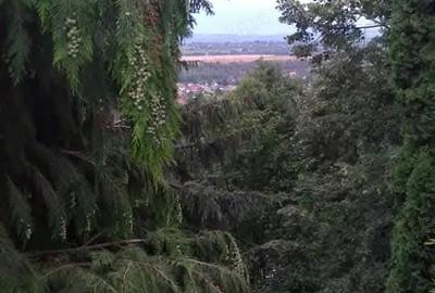 Casă cu 4 camere în Tăuții de Sus - 2