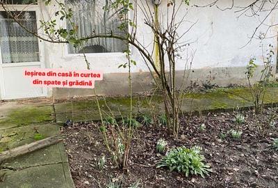 Vand sau schimb, 1439 mp, sat Bodo - 8