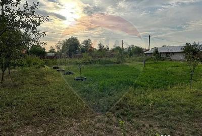 Casă cu 6 camere cu Teren 2655 Mp în Toporu - 2