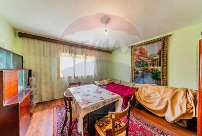 Casă cu 2 camere cu Teren 4500 Mp în Cărand - 14