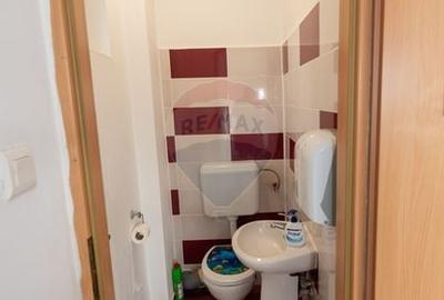 Vila de inchiriat, nemobilata, multifunctionala,  Aparatorii Patriei - 34