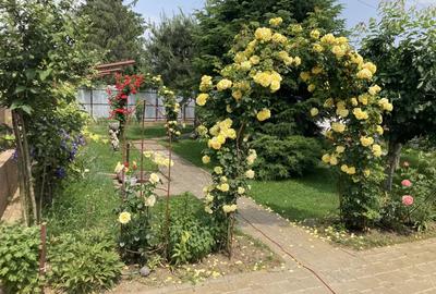 Casă cu 4 camere cu Teren 670 Mp în Central - 1