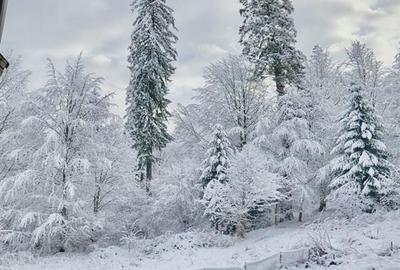 OFERTA in Poiana Brasov, 3 camere de vazare - 1