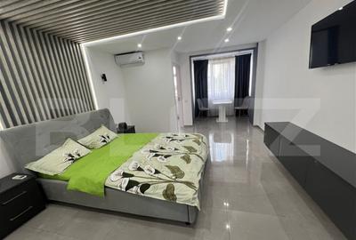 Garsoniera Proaspat renovata Brazda lui Novac - 1