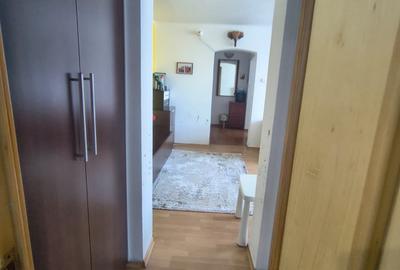 Apartament cu 2 camere semidecomandat, mobilat în Podu Roș - 8