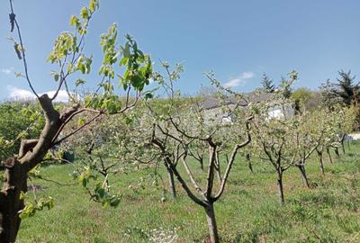 Teren de 600 mp, în Exterior Vest - 1