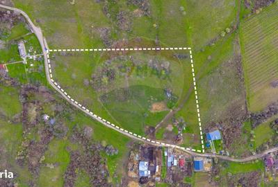 Spațiu comercial, în Valea Orlei - 10